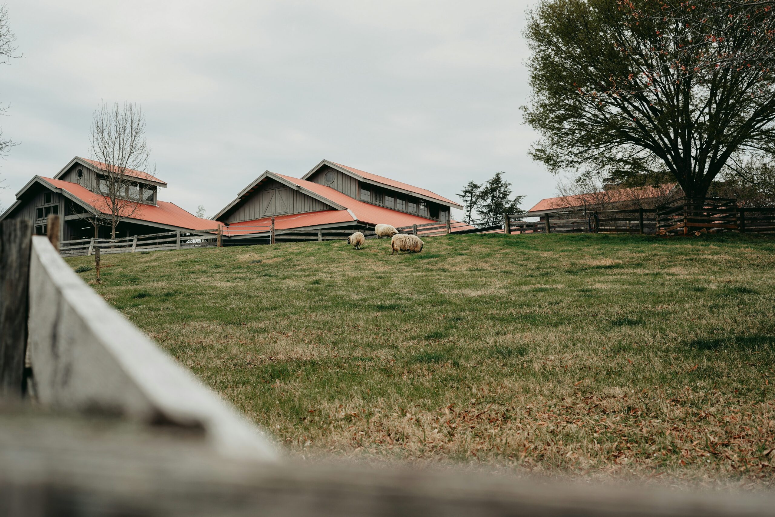 Ranch Owner - Chris Cain Hospice